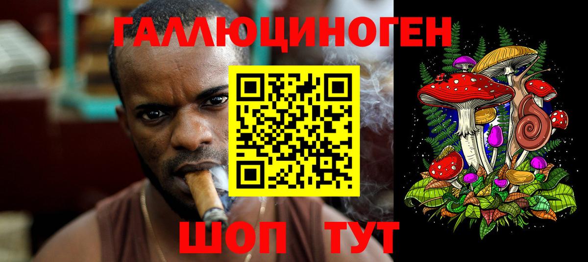 где купить наркотик  Вход с VPN  Норильск  Псилоцибиновые грибы мицелий 